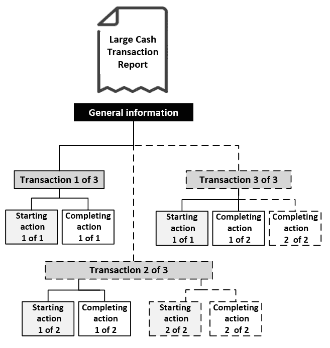 Illustration of a Large Cash Transaction Report with multiple transactions, starting actions and completing actions