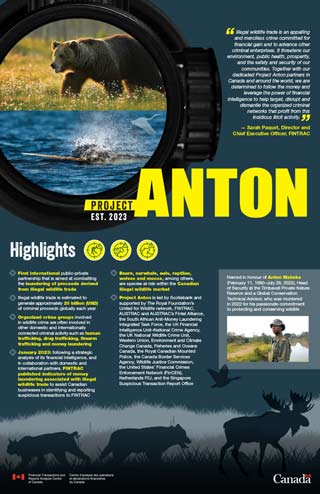 Project Anton poster