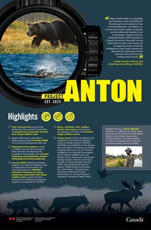 Project Anton Poster