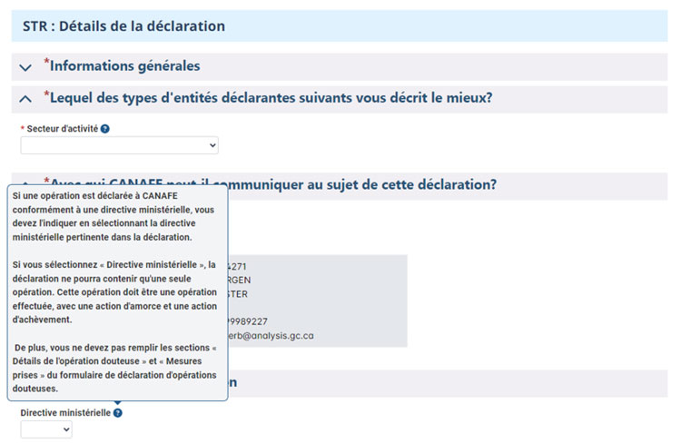 Page de la DOD à CANAFE montrant les champs sur la dénomination sociale, le numéro de référence de la déclaration et les directives ministérielles avec du texte d'aide.