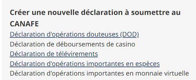 Page d'informations sur l'organisation avec détails, autorisations de type de rapport, et options pour ajouter un emplacement ou un contact.